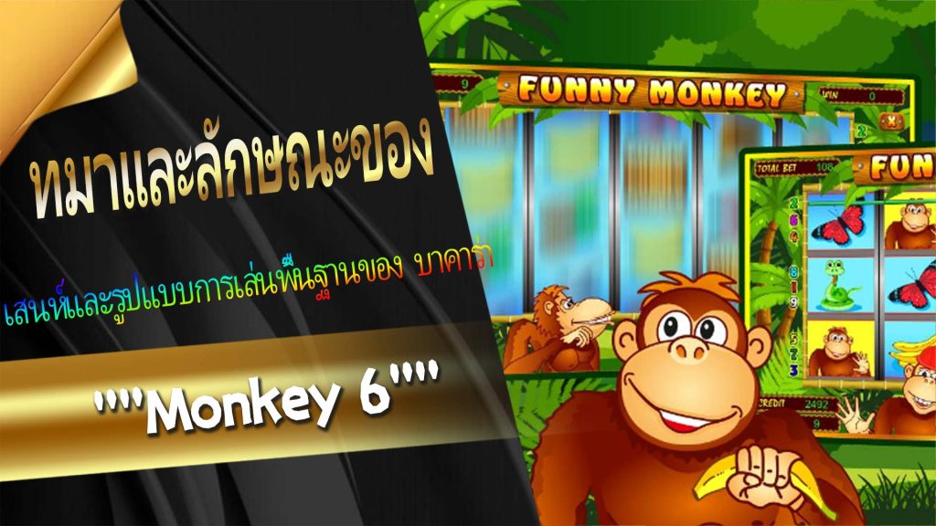 ที่มาและลักษณะของ "Monkey 6"