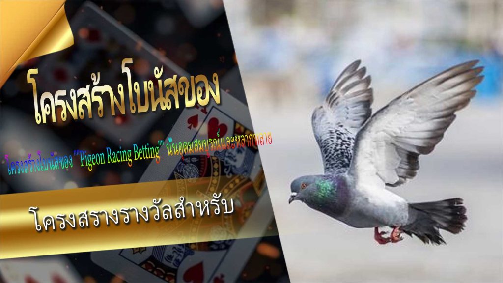 โครงสร้างรางวัลสำหรับ Pigeon Racing Betting