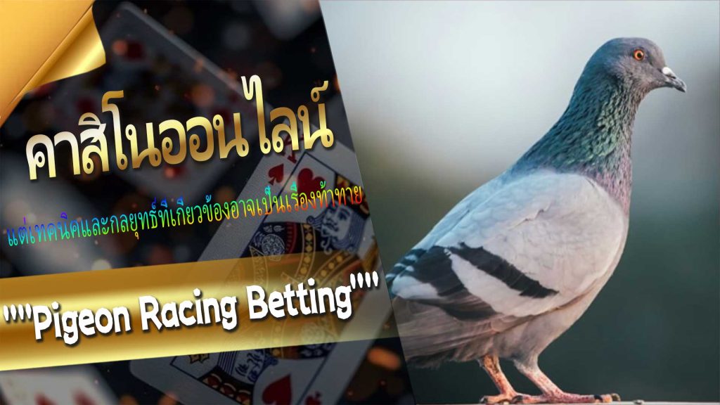 【Len99 คาสิโนออนไลน์】กฎของเกม Pigeon Racing Betting